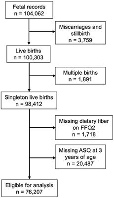 Maternal dietary fiber intake during pregnancy and child development: the Japan Environment and Children's Study
